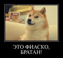 Попытка остановить пикап закончилась провалом