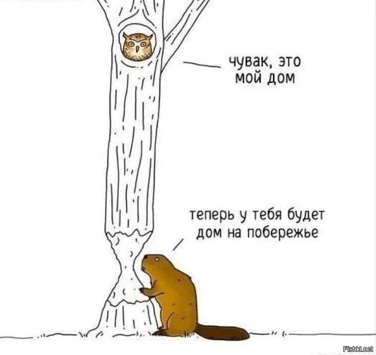 33 прикола
