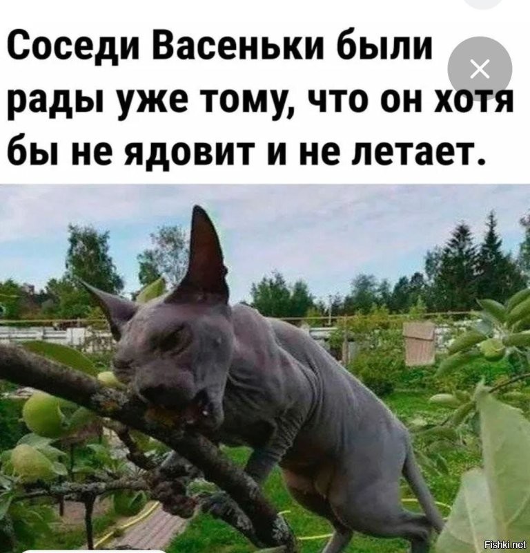 33 прикола