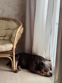 20+ моделей, фотогеничности которых можно только позавидовать