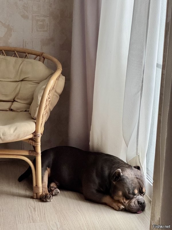 20+ моделей, фотогеничности которых можно только позавидовать