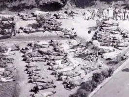 Да, это лютый п..дец! Вссегда было на слуху словосочетание-"бхопальская катастрофа", но подробностей не знал!