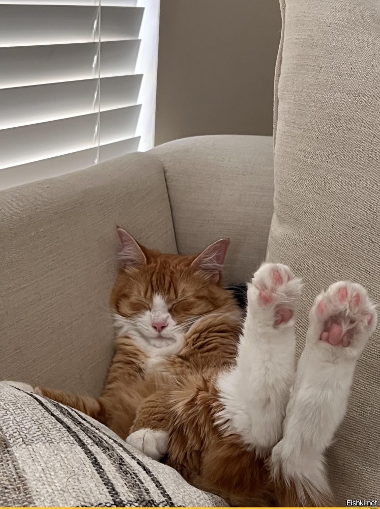 Солянка от 29.03.2026