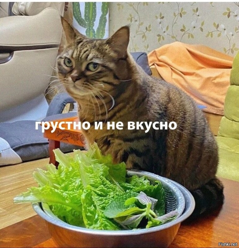 Жуть ! )