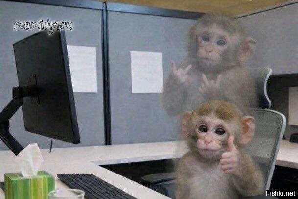 Солянка от 29.03.2026