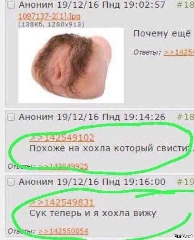 сегодня сыграл первый в жизни реальный квиз