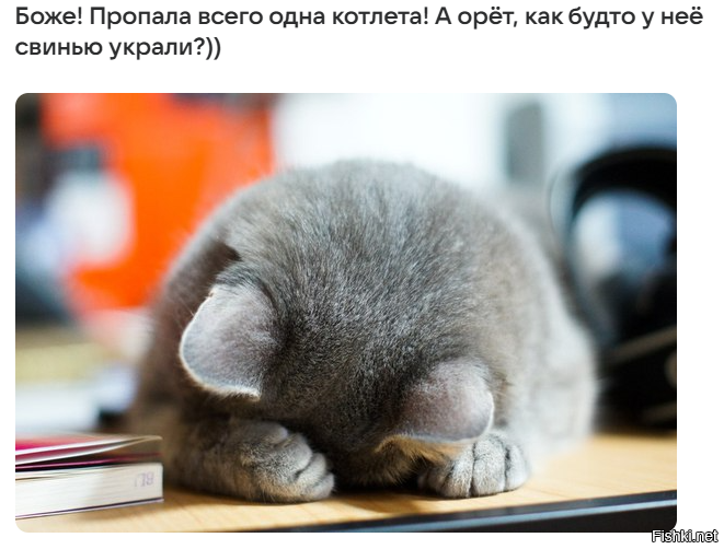 Солянка от 29.03.2026