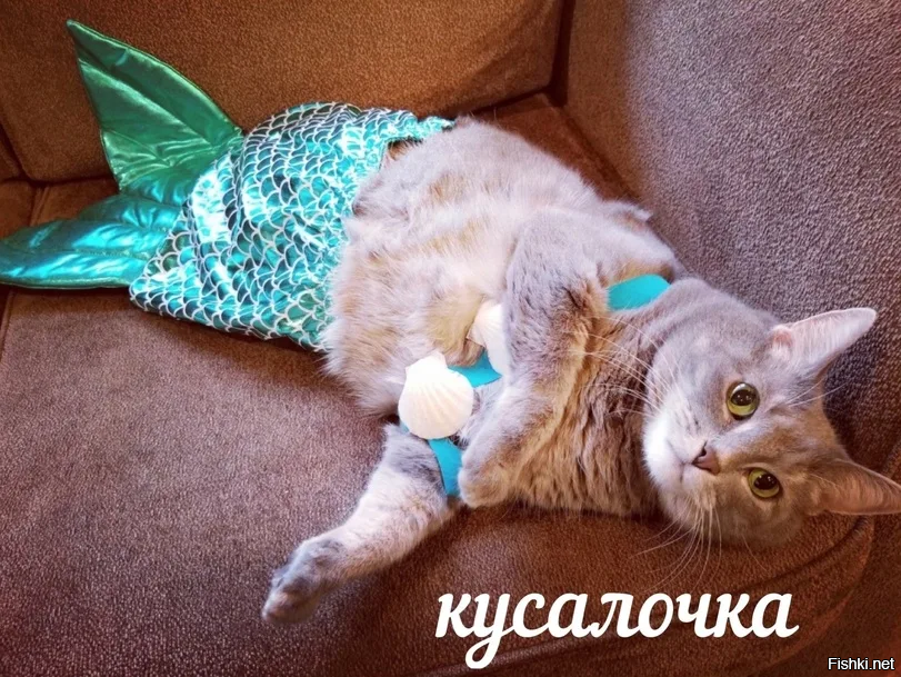 Доброе утро