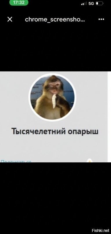 Солянка от 29.03.2026