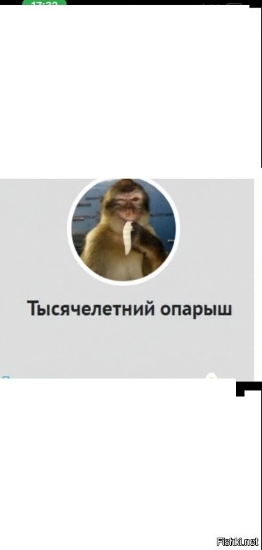 сегодня сыграл первый в жизни реальный квиз
