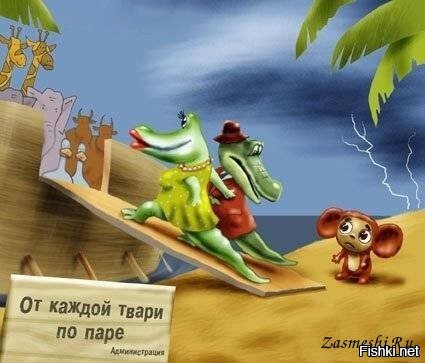 Солянка от 29.03.2026
