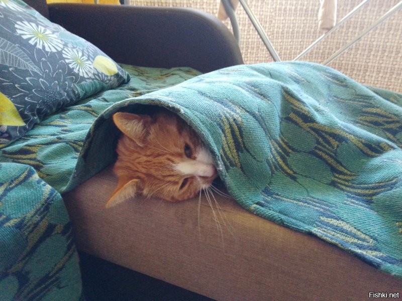 Рецепт хороший )