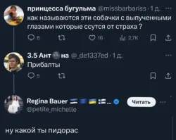 Литовские перевозчики не могут выкупить свои фуры из Беларуси из-за собственных санкций