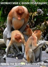 "Ремни для лохов"