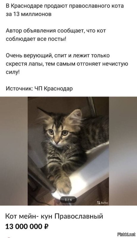 Я слышал эту историю. Потом эти так называемые православные продавали своего любимого кота в интернете. Те ещё лицемеры оказались