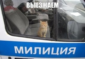 Смешные картинки