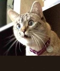 Удивительный и редкий талант