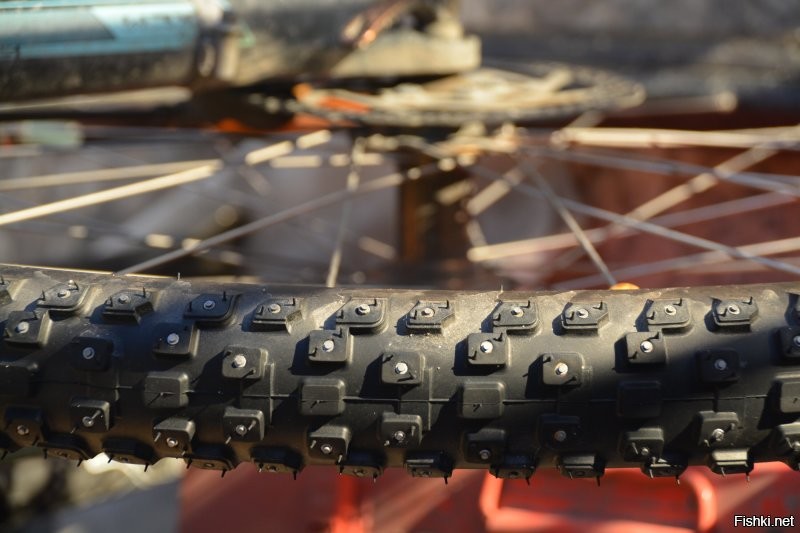 Шипы, 368 штук, моё всё !