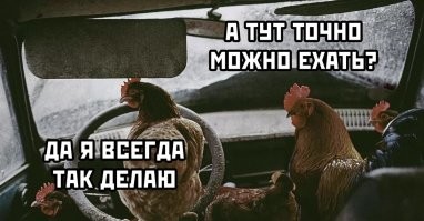 Броуновское движение