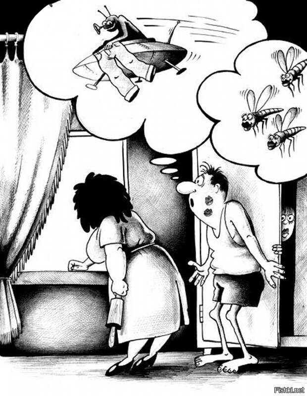 Солянка от 31.03.2026