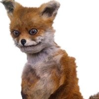 Идёт к своему корешу