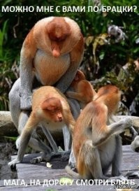 Неожиданный прыжок наркомана в подъезде