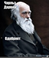"Свободный полёт" на Lexus