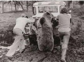 АвтоВсячина