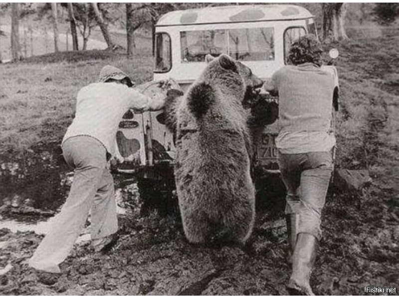 АвтоВсячина