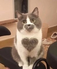 30 снимков, доказывающих, что мимимишность спасёт мир