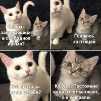 Не ищите здесь смысл. Здесь в основном маразм