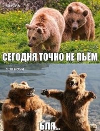 20 ситуаций, в которых мать-природа забыла выключить режим комедии
