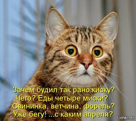 Доброго утра