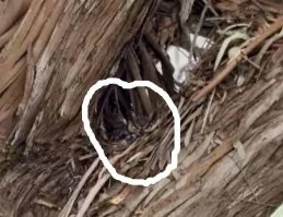 20 ситуаций, в которых мать-природа забыла выключить режим комедии