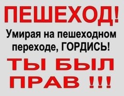 Наличие пешеходного перехода никак не гарантирует сохранность тушки на нем.