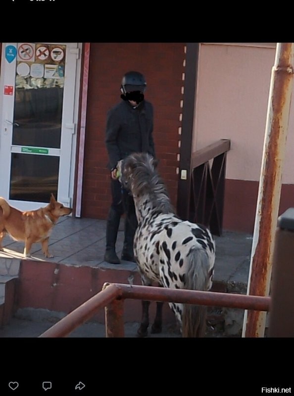 А вот у нас приезжает вот такой покупатель и ему в общем плевать на цены на топливо.