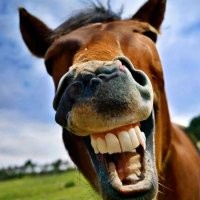 Прощание с Дубаем оказалось сложнее, чем она думала