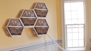 Вся проблема таких авангардных решений для жилища, в том, что пчёлы по трубе не улетают на несколько километров от улья, они в большей своей массе будут жужжать под окнами, лезть на кухню, залетать в форточки и пытаться поживиться чем-то рядом со своим жилищем.  Поэтому жизнь ваша будет как на пасеке. Как минимум окна будут всегда закрыты или на антимаскитных сетках,  да и в помещение надо входить будет аккуратно, чтоб с вами до кучи не залетело с пол дюжины незваных  гостей.
Кстати, там где пчёлы, там и осы с шершнями..
В общем, если хотите улей - то лучше чтоб он стоял где-нить подальше от того места, где вы живёте. Нести это прям вот в дом, такая себе затея.