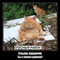 На чужой район зашел.