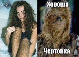 Необычное развлечение обезьян