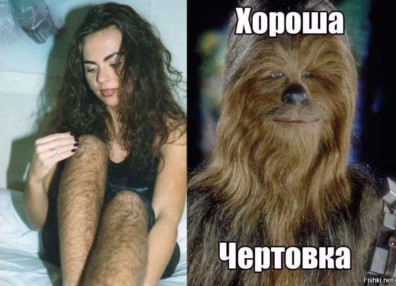 Необычное развлечение обезьян