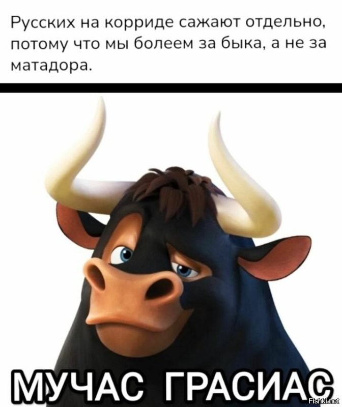 В Мадриде матадор получил тяжёлый удар от быка