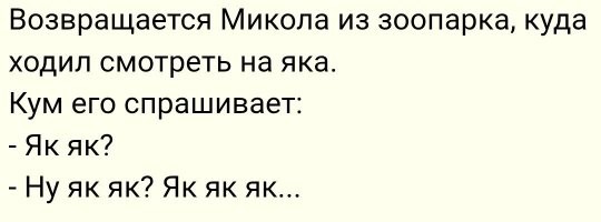 Яки заблокировали дорогу мотоциклисту в горах Индии