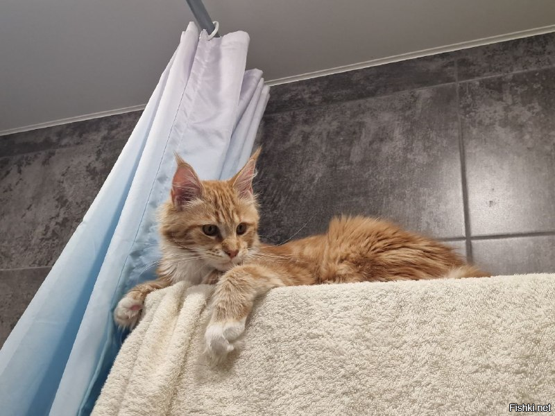 похожая растет 5 месяцев ещё, нам не скучно