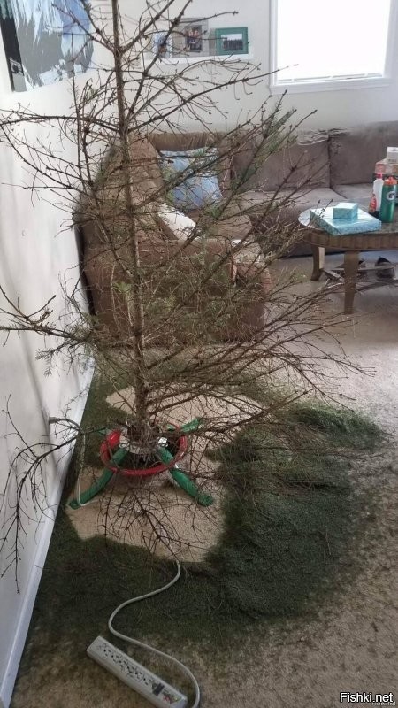 Ещё какой-то слабак сдался