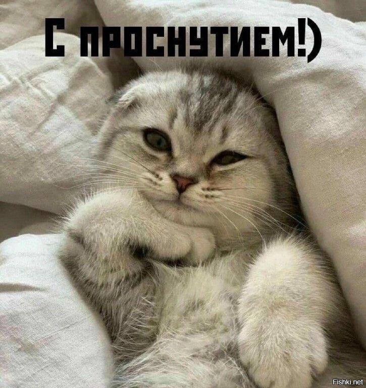 Доброго утра