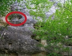 Я даже глаза крокодильи вижу.