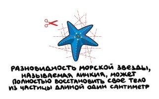 Вот у кого проблем с размножением нет )