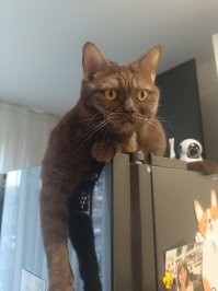 Повзрослела.