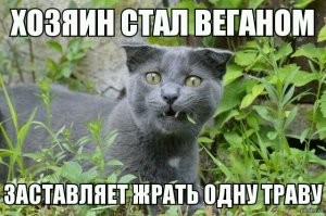 Веган что ли?